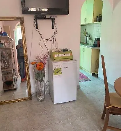 Central Apartment